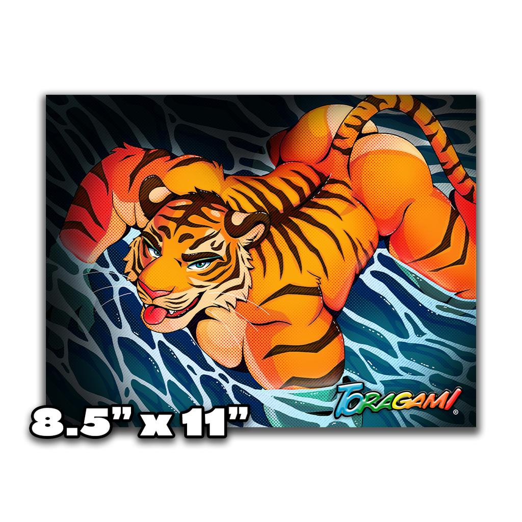 Zoobooks - And The Tiger Poster