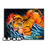 Zoobooks - And The Tiger Poster
